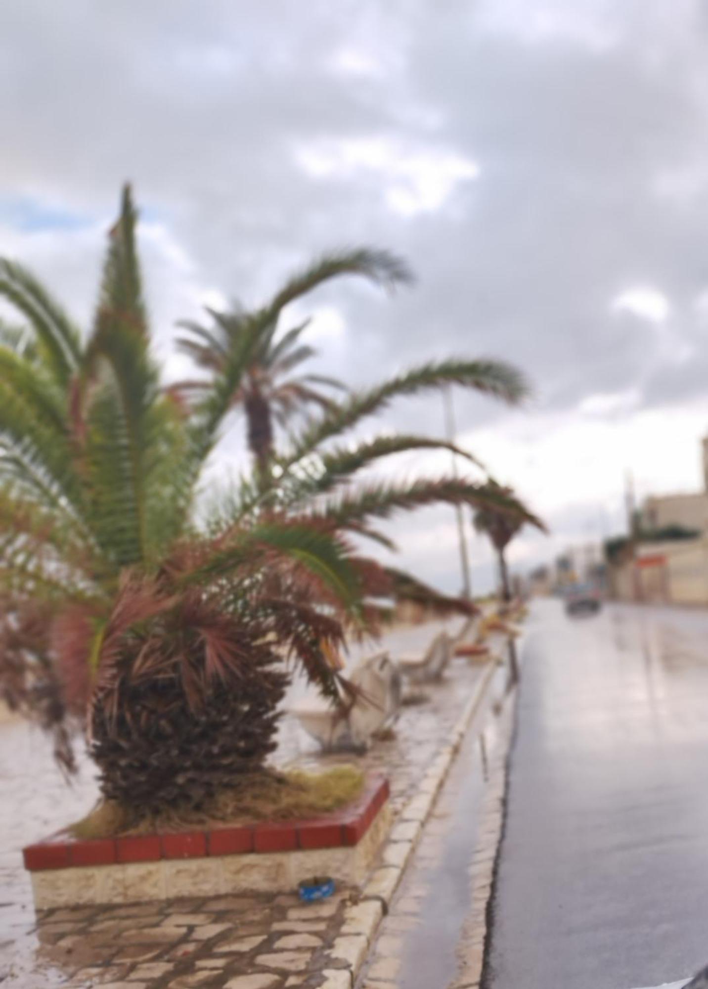 Appartement Hammam-Lif Les Cyclamens Tunisie Afrique 외부 사진