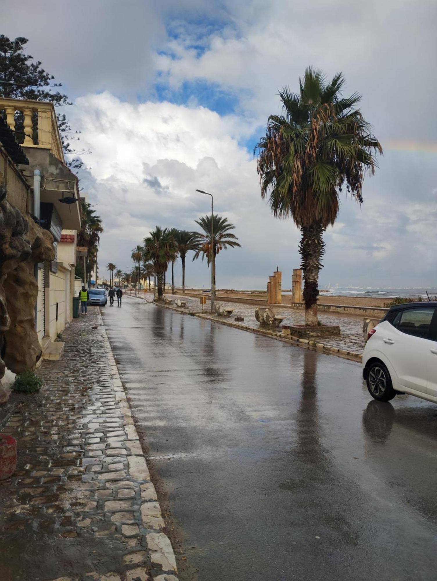 Appartement Hammam-Lif Les Cyclamens Tunisie Afrique 외부 사진